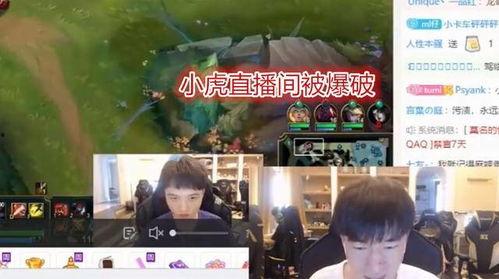 爆料小虎退役了吗视频下载,爆料小虎退役真相，视频下载揭示退役内幕  第3张